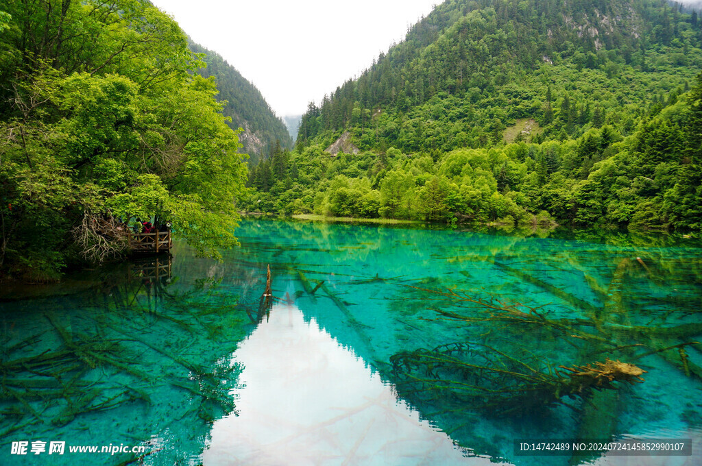 湖景