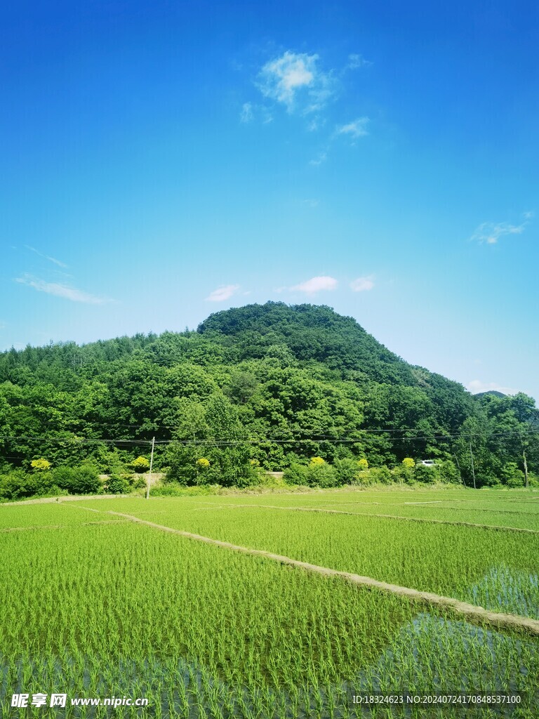 青山