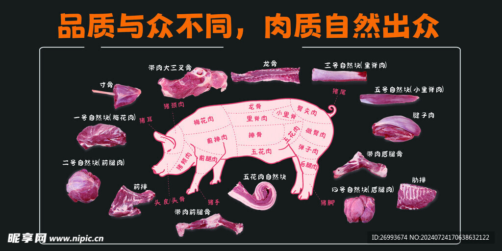 猪肉分割图