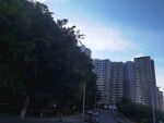 信丰桃江龙城