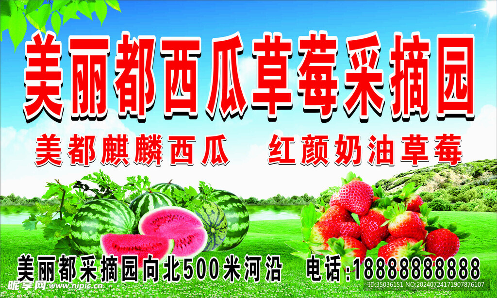 西瓜海报  