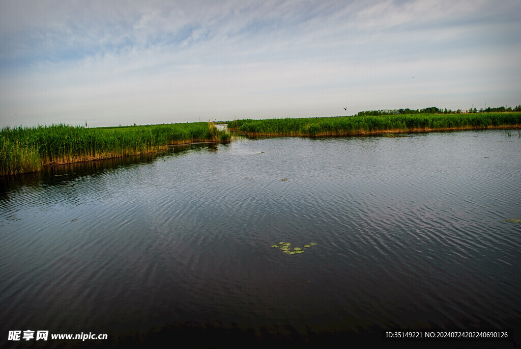 齐齐哈尔扎龙湿地风景