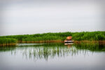 齐齐哈尔扎龙湿地风景