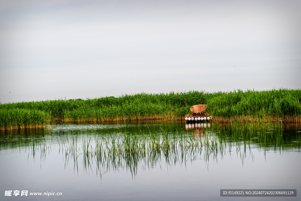 齐齐哈尔扎龙湿地风景