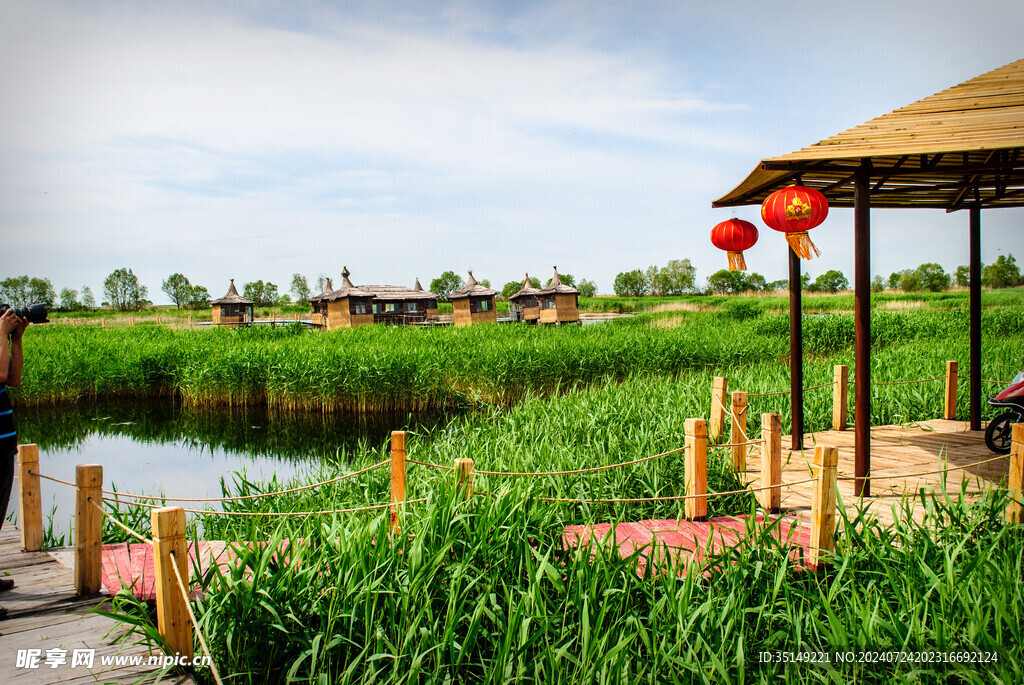 齐齐哈尔扎龙湿地风景