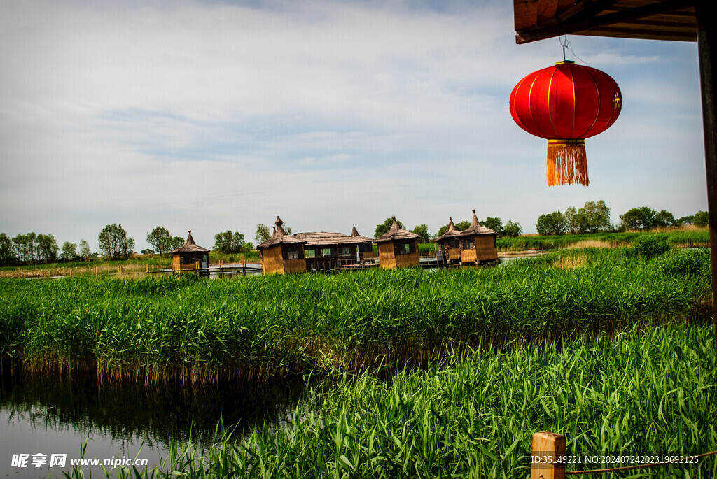 齐齐哈尔扎龙湿地风景