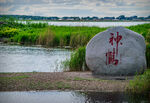 齐齐哈尔扎龙湿地风景