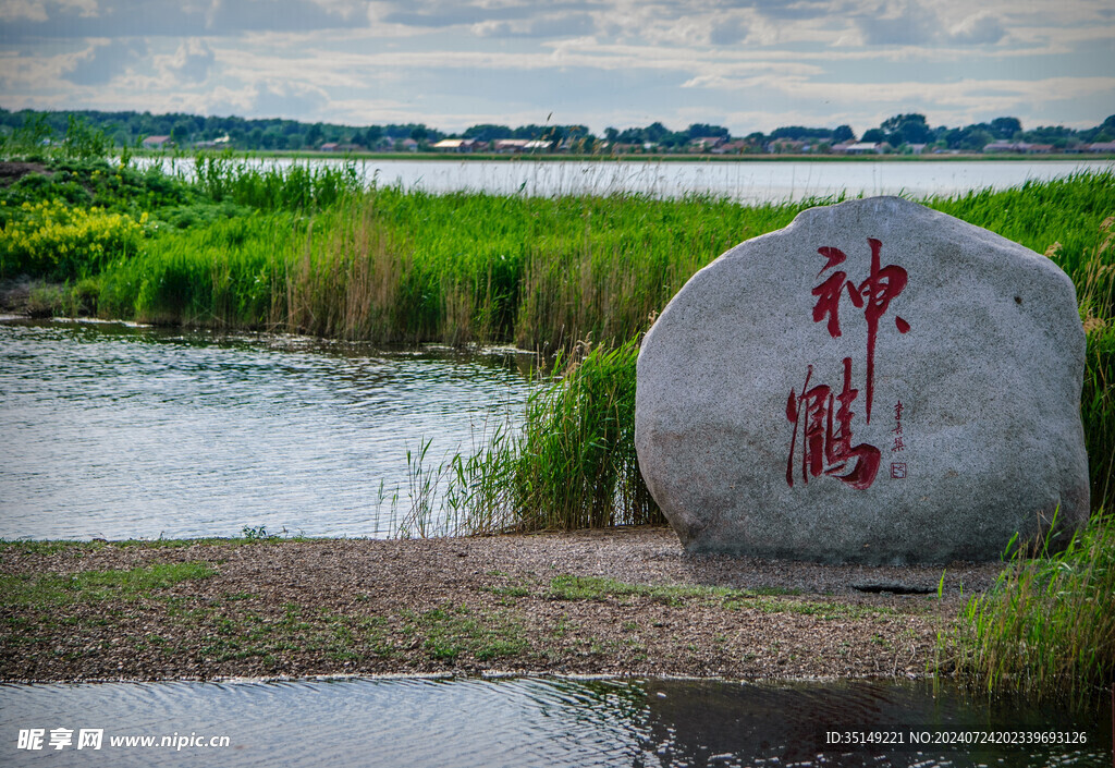 齐齐哈尔扎龙湿地风景