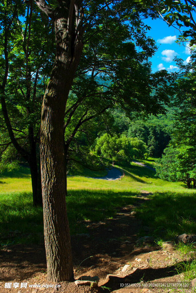 阿城平山神鹿场风景