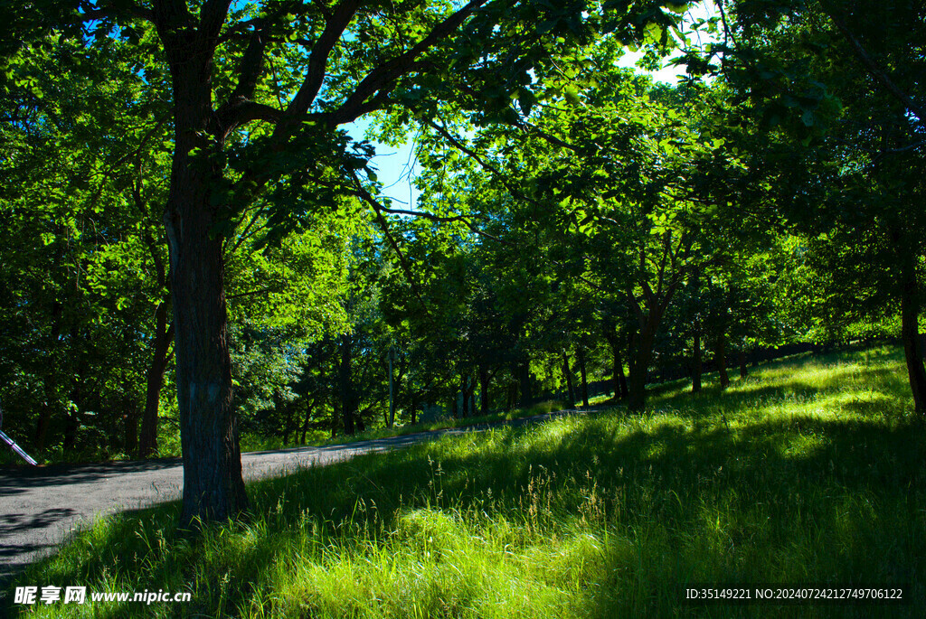 阿城平山神鹿场风景