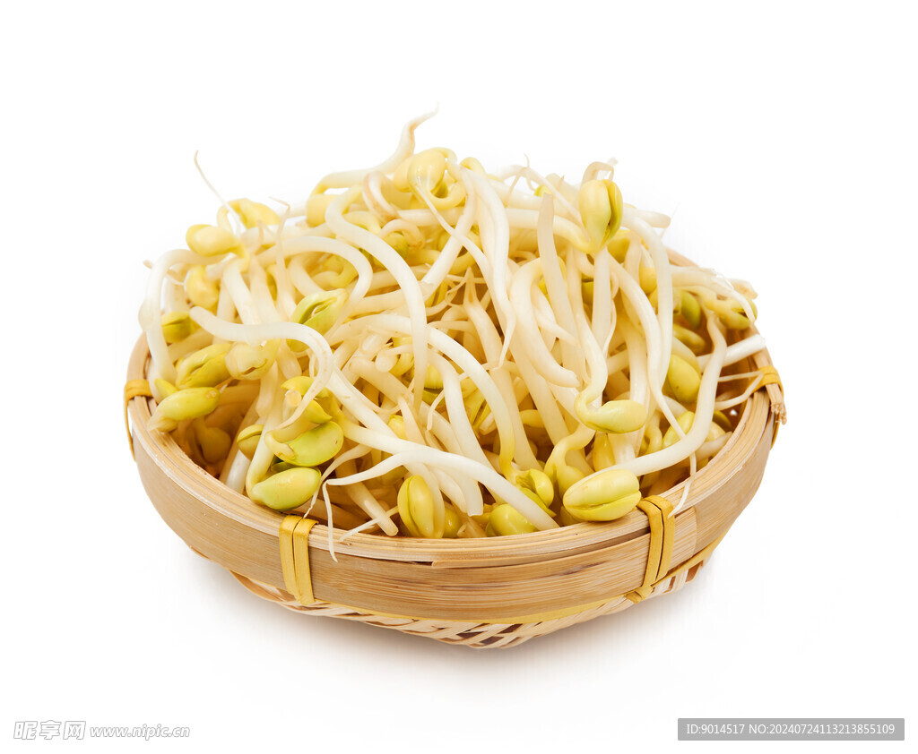 豆芽