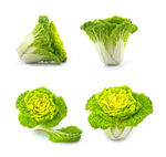 黄心菜