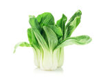 青菜