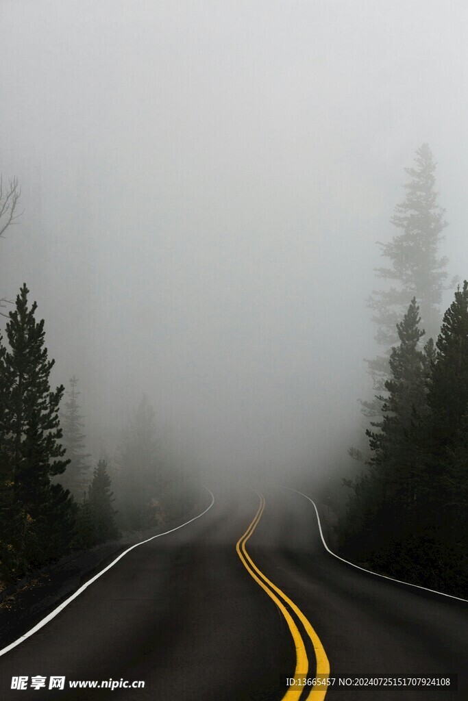 迷雾道路森林