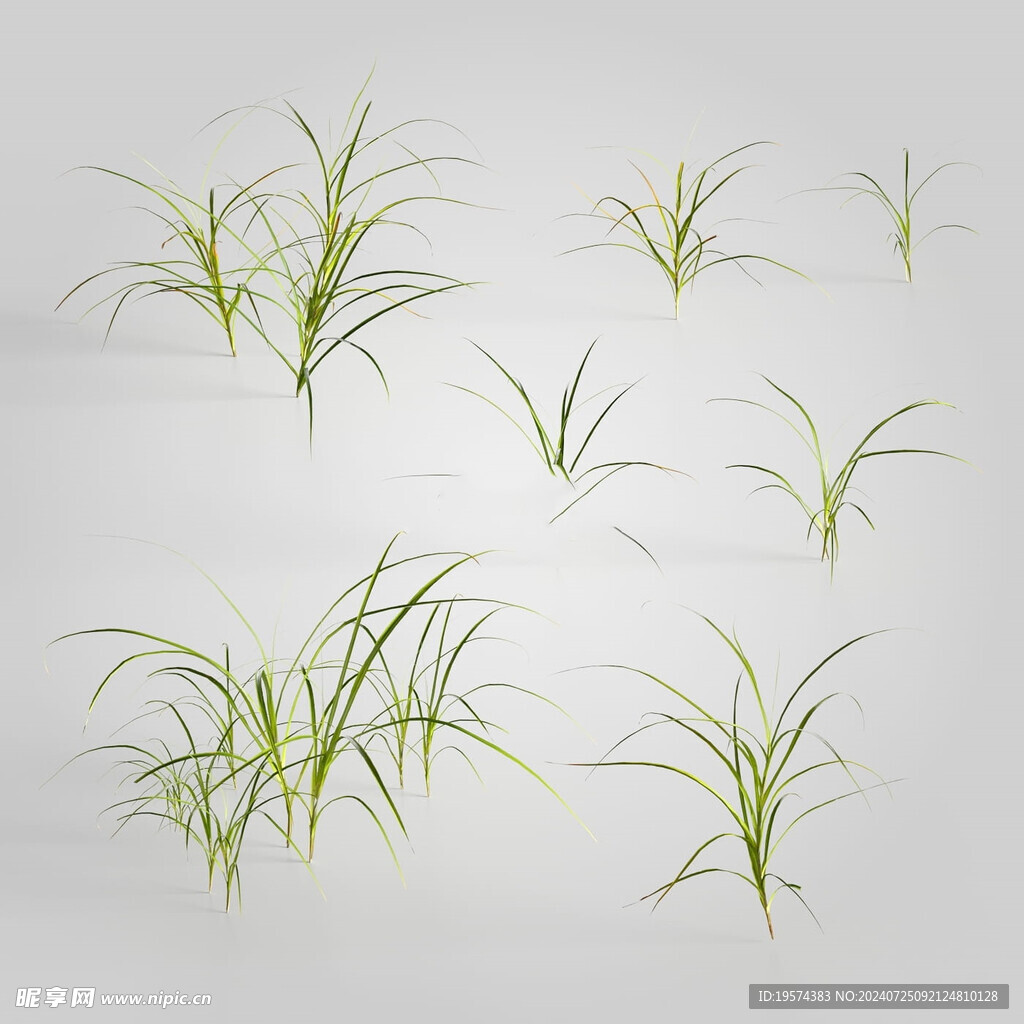 C4D模型 绿色植物