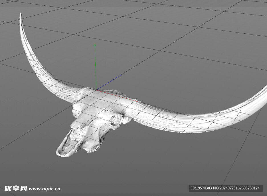 C4D模型 骨头