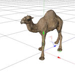 C4D模型 骆驼