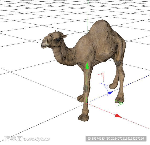 C4D模型 骆驼