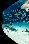 水族馆