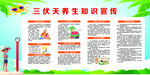 三伏天养生知识宣传栏