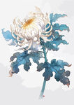 中式水墨画菊花