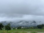 乡村