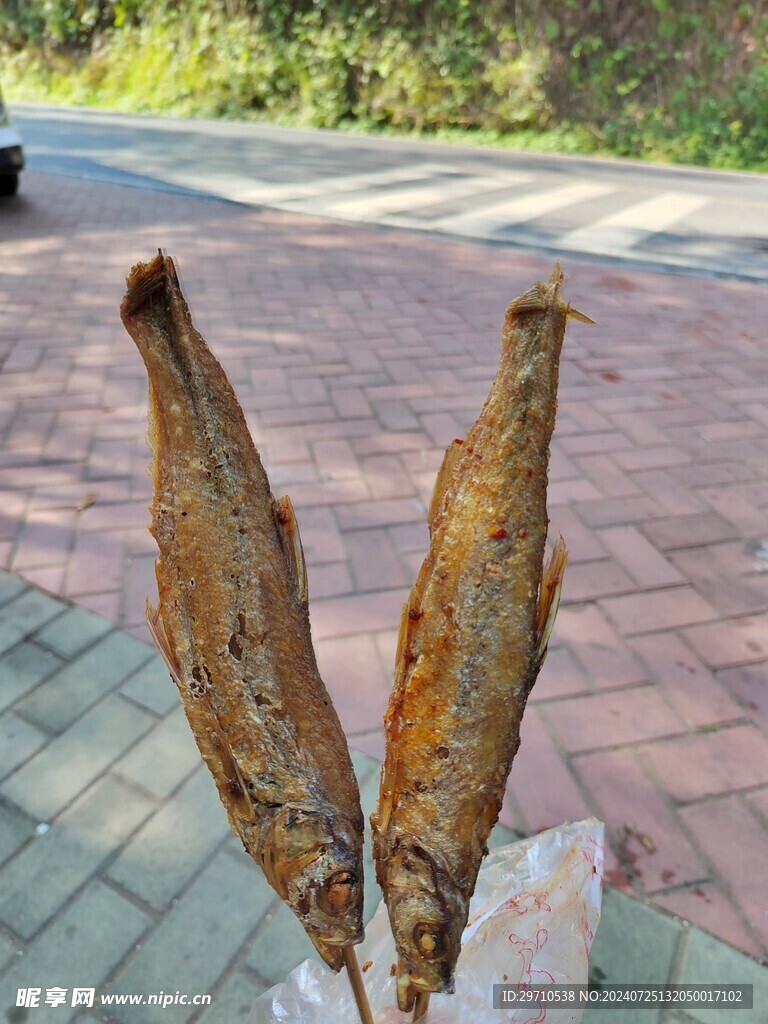 鱼