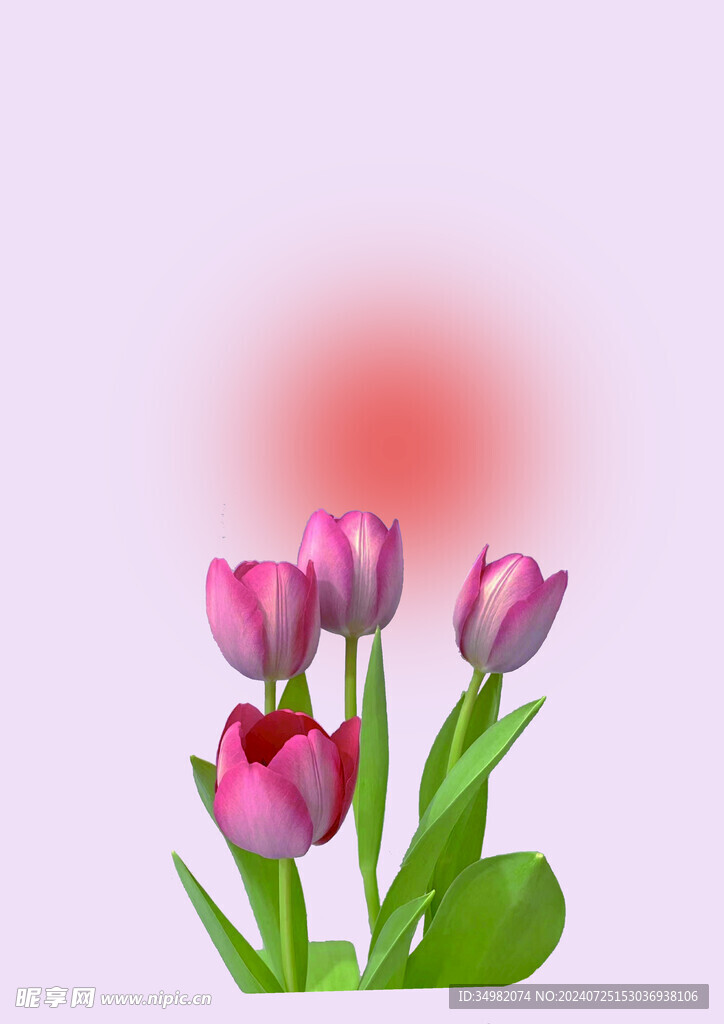 壁纸