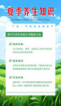 夏季养生知识