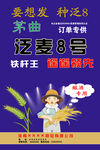 农业海报小麦种