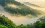 林海山川