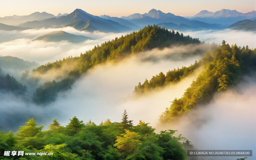 林海山川