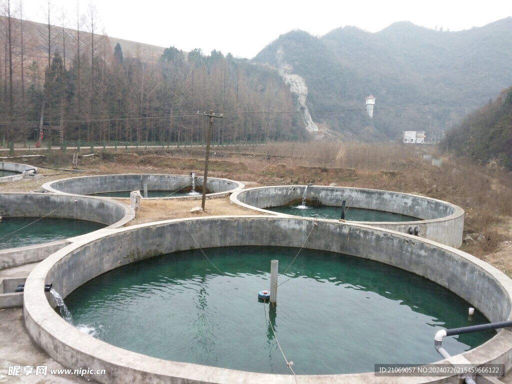 鲟鱼池