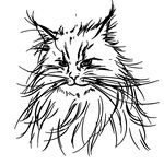 卡通黑白简笔猫图案