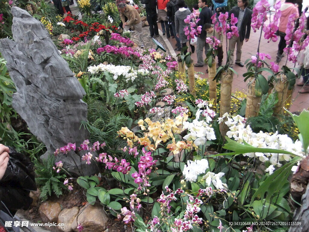 鲜花鲜艳美丽唯美繁花漂亮花朵