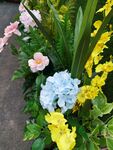 鲜花鲜艳美丽唯美繁花漂亮花朵