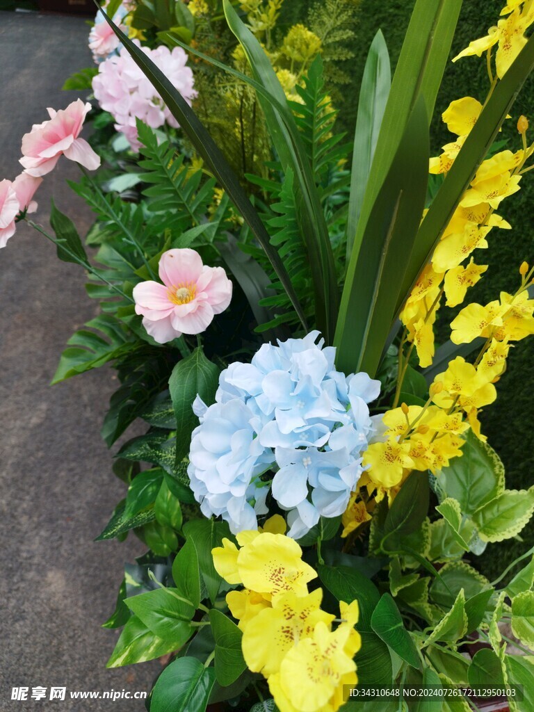 鲜花鲜艳美丽唯美繁花漂亮花朵