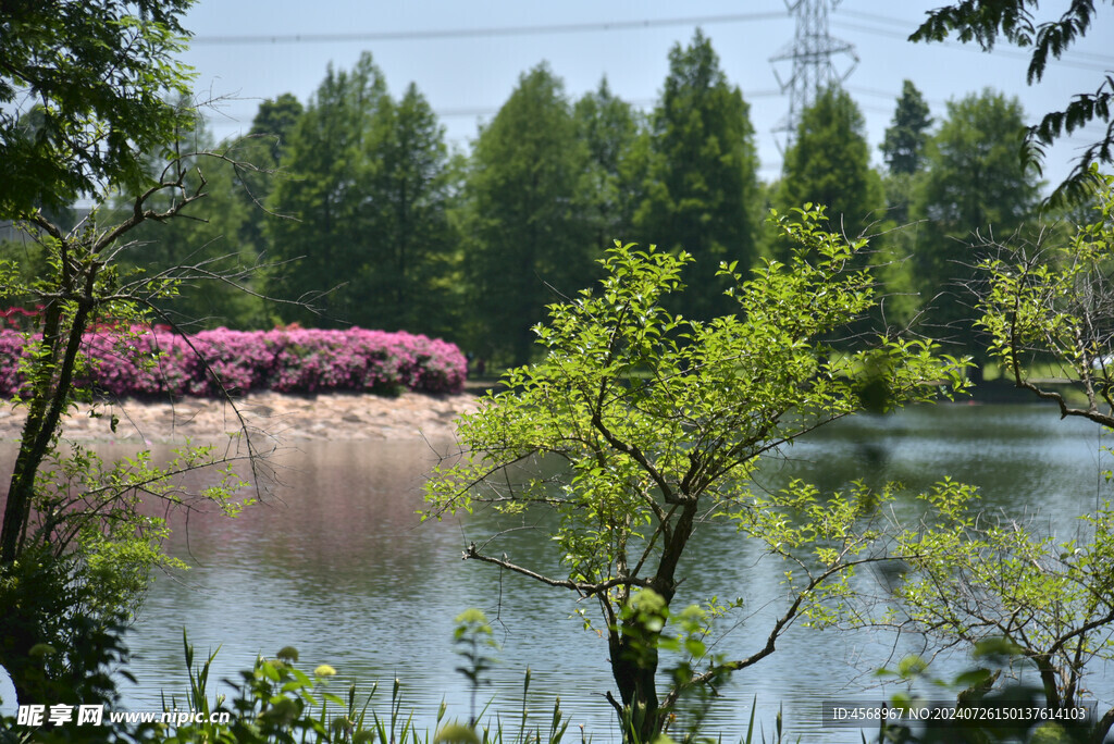 水边小景