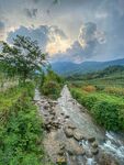 山林小溪 森林溪水 山野