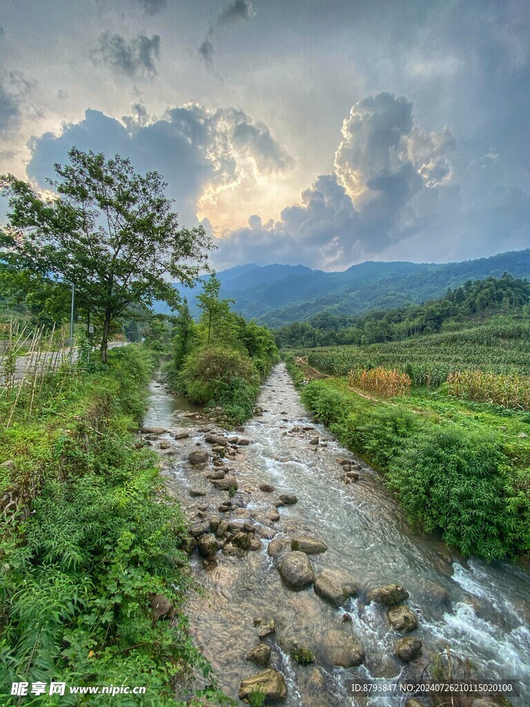 山林小溪 森林溪水 山野