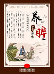 养脾