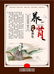 养肾