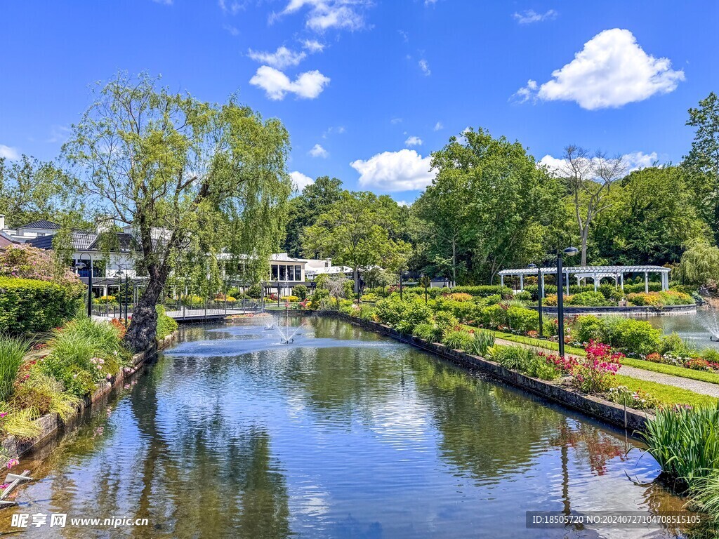 公园风景