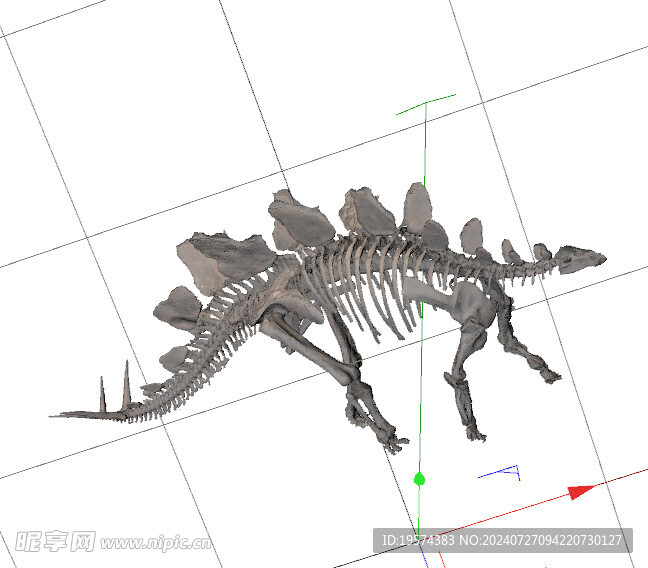 C4D模型 骨头