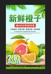 橙子海报