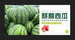 西瓜海报