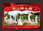 潮汕狮头鹅