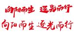向阳而生 逐光而行