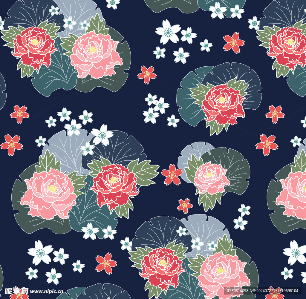荷花