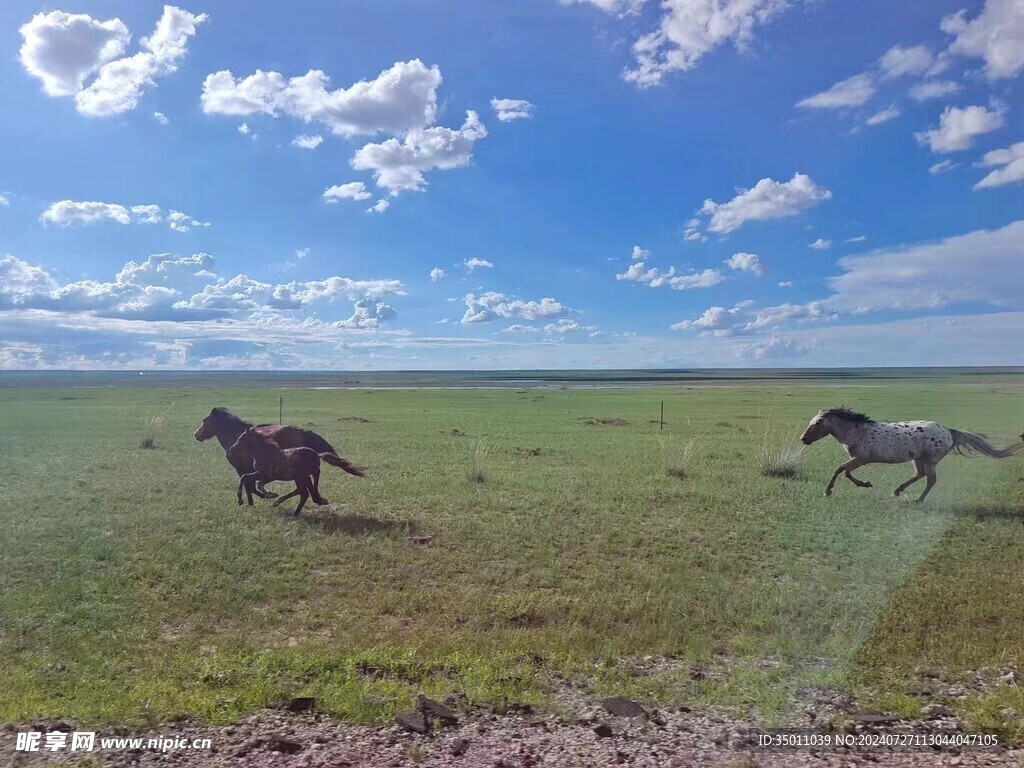 锡林郭勒盟风景